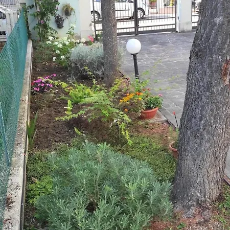 Nel Cuore * Римини