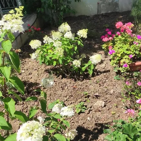 Апартаменты Nel Cuore