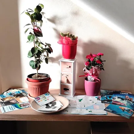 Nel Cuore Apartamento Rimini