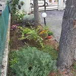 Nel Cuore * Rimini