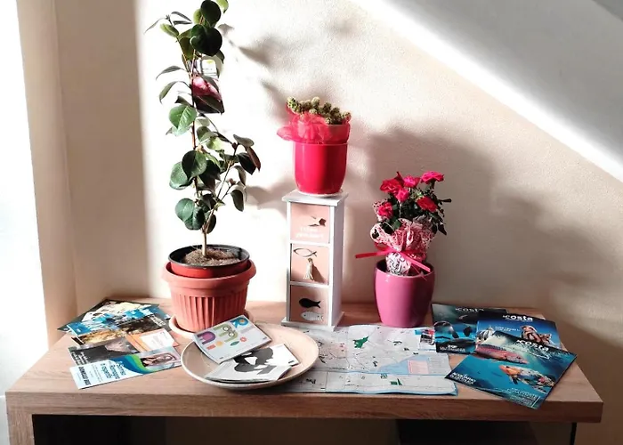 Nel Cuore Appartement Rimini